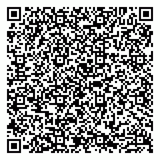 vCard 79807211038