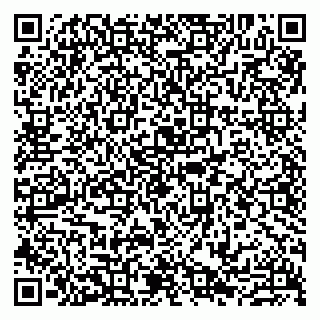vCard 79807211039