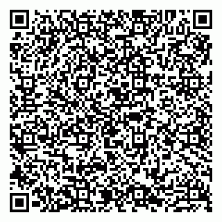 vCard 79807211063