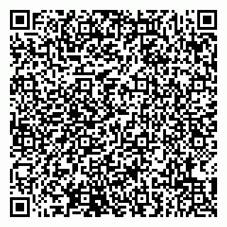 vCard 79807211105