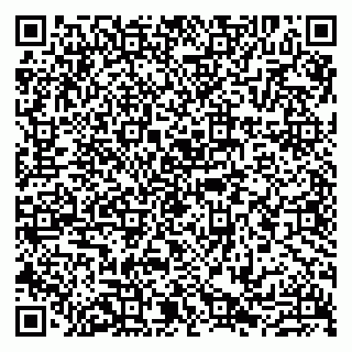 vCard 79807211273