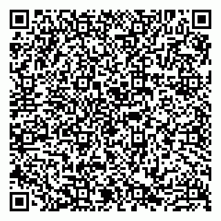 vCard 79807211287