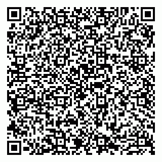 vCard 79807211294