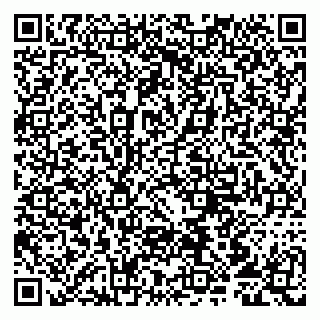 vCard 79807211295