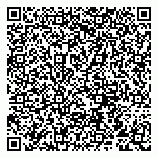 vCard 79807211300