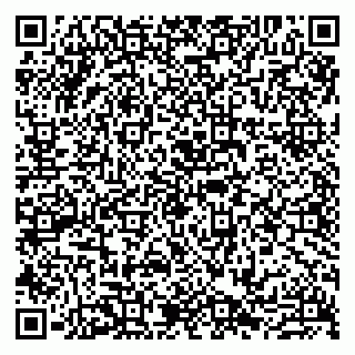 vCard 79807211304