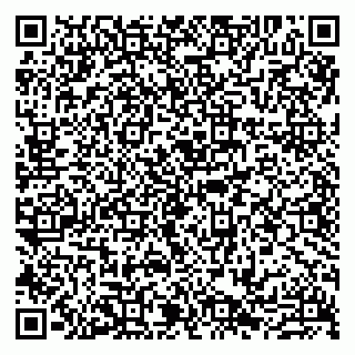 vCard 79807211333