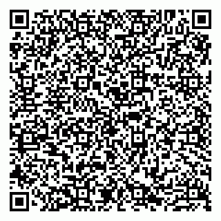 vCard 79807211381