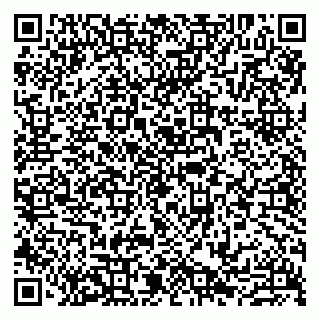 vCard 79807211384