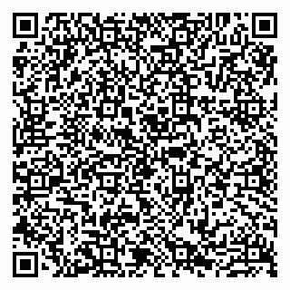 vCard 79807211385