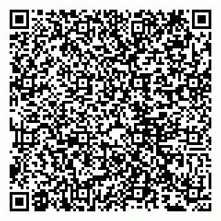 vCard 79807211387