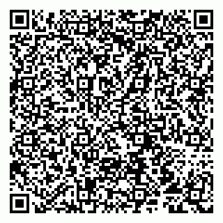 vCard 79807211874