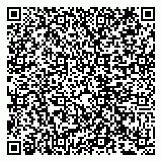 vCard 79807211881