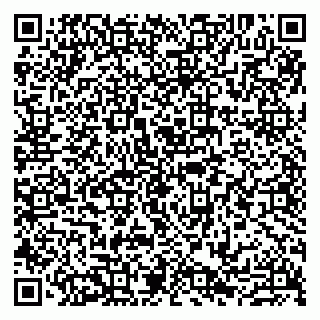 vCard 79807212873
