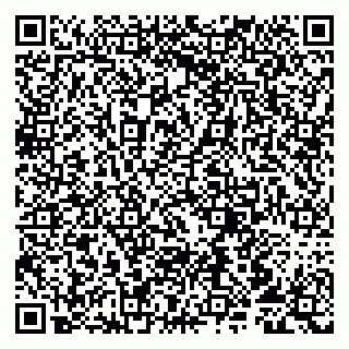 vCard 79807212933