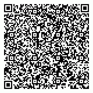 vCard 79807213007