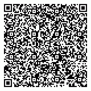 vCard 79807213009