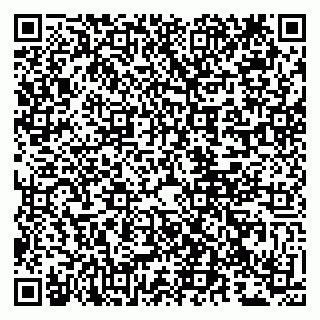 vCard 79807213071