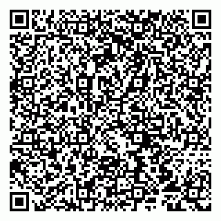 vCard 79807213091