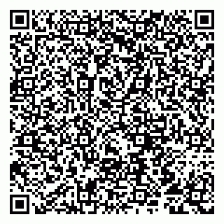 vCard 79807213103
