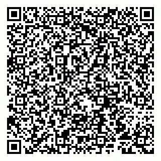 vCard 79807213133