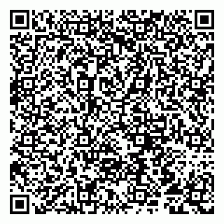 vCard 79807213137