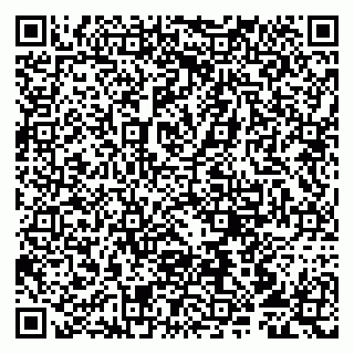 vCard 79807213184