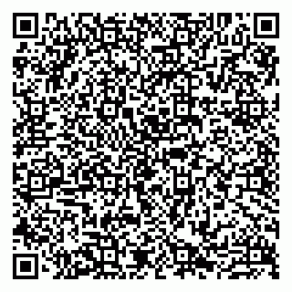 vCard 79807213207