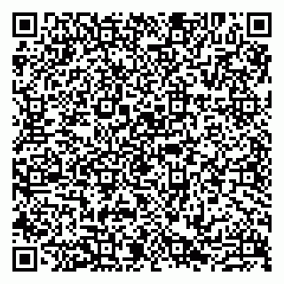 vCard 79807213308