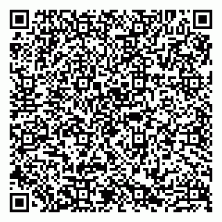 vCard 79807213309