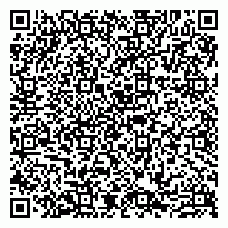 vCard 79807213313