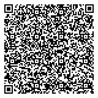 vCard 79807213325