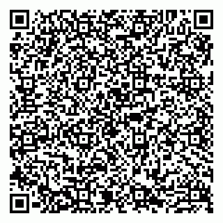vCard 79807213331