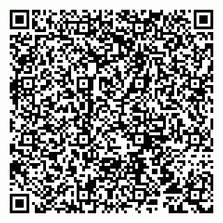 vCard 79807213381