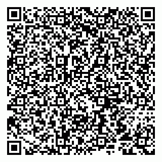 vCard 79807213383