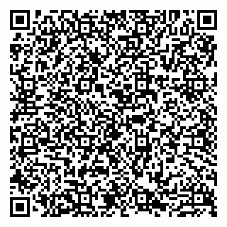 vCard 79807213384