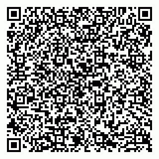vCard 79807213385