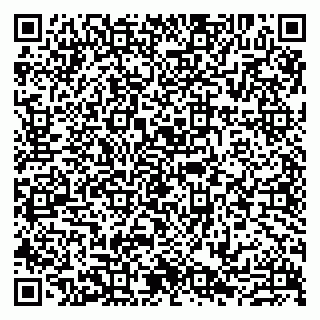 vCard 79807213389