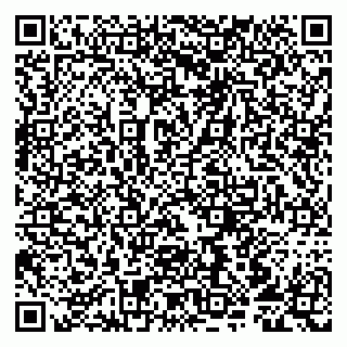 vCard 79807213503