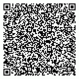 vCard 79807213538