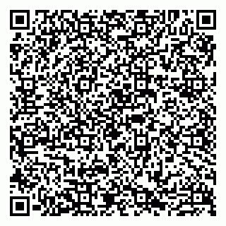 vCard 79807213687