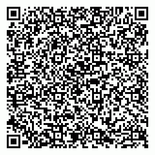 vCard 79807213831