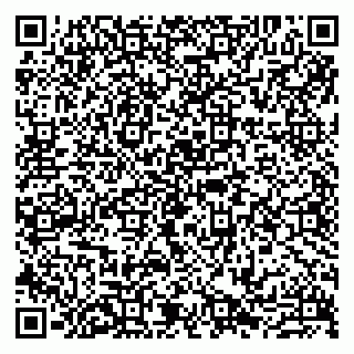 vCard 79807213978