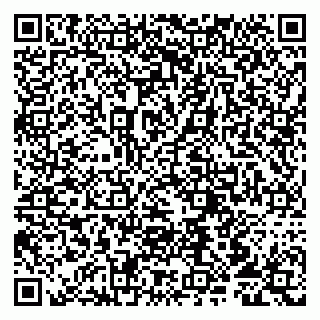 vCard 79807215803