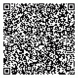 vCard 79807216381