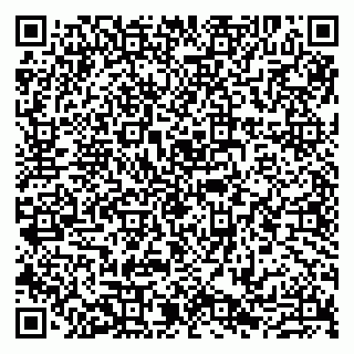 vCard 79807216881
