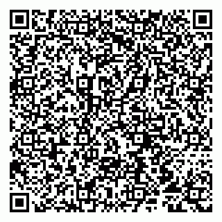 vCard 79807217088