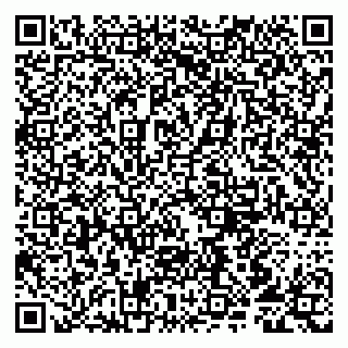 vCard 79807217331