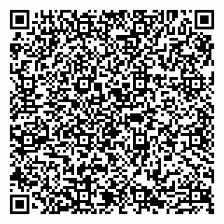vCard 79807217378