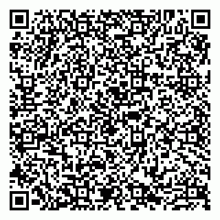 vCard 79807217380